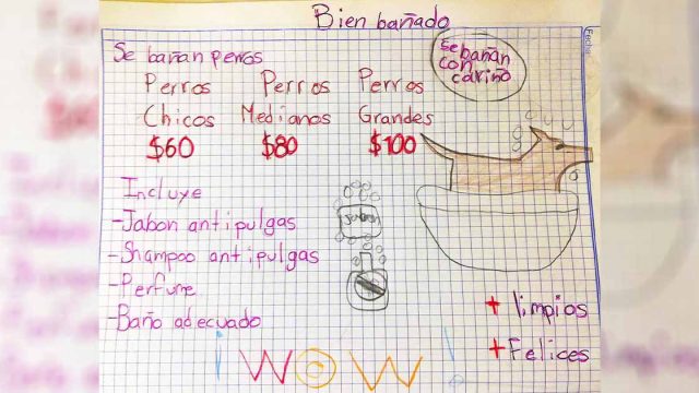 Niño de 7 años baña perritos en buscando ahorrar para ser veterinario