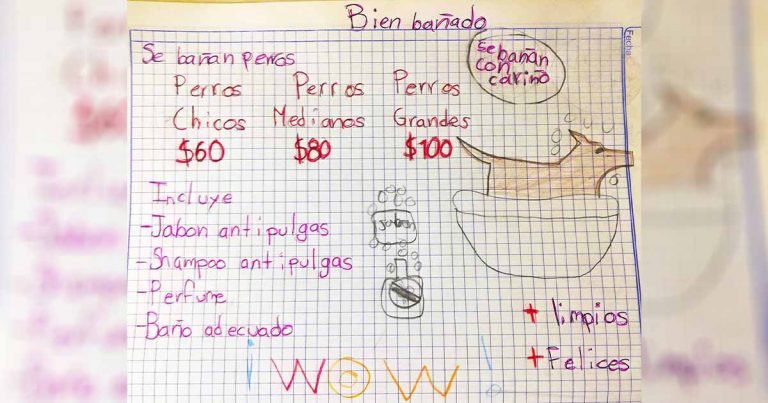 Niño de 7 años baña perritos en buscando ahorrar para ser veterinario