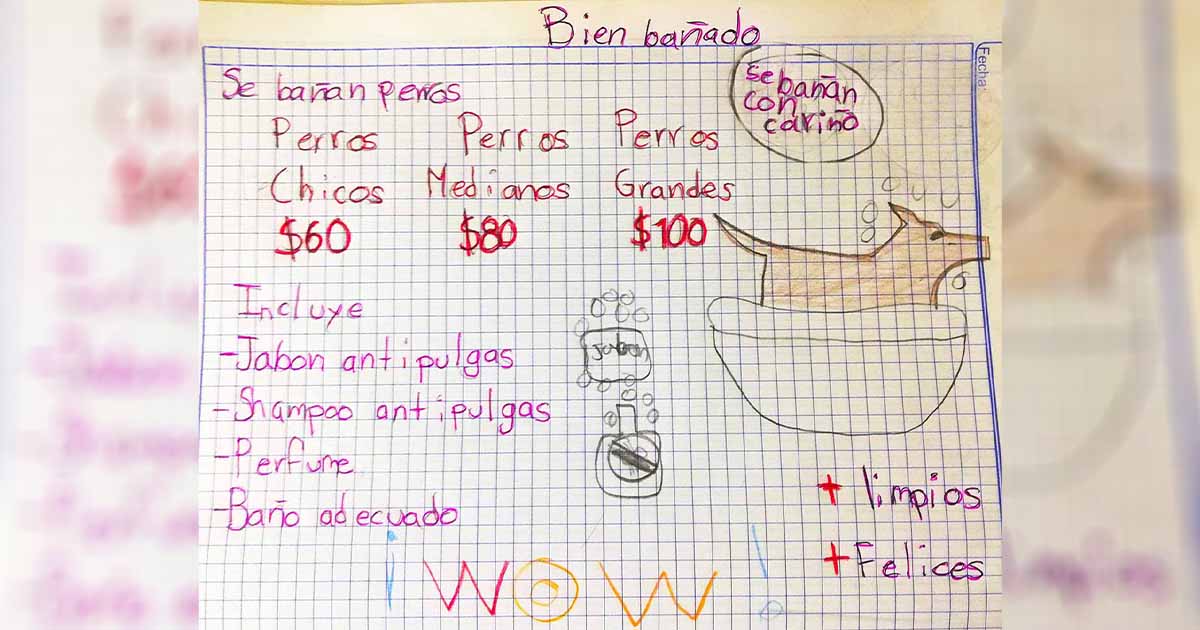 Niño de 7 años baña perritos en buscando ahorrar para ser veterinario
