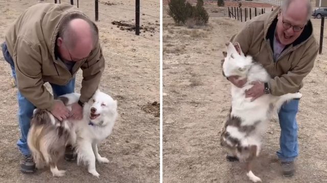 Perrita ciega sorda reconoce abuelo