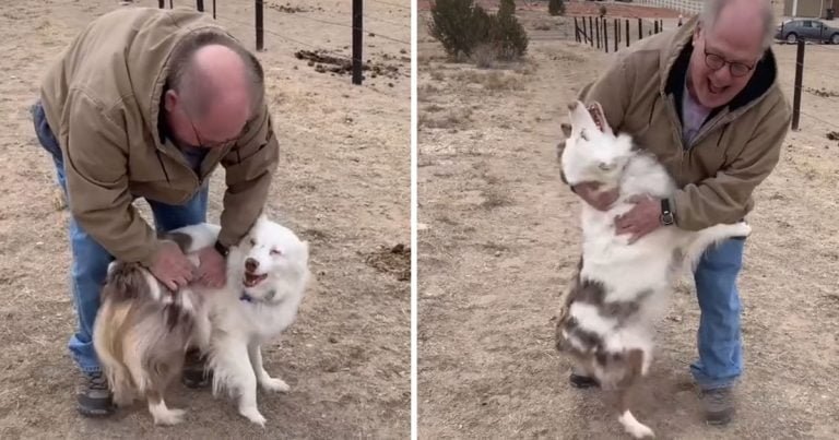 Perrita ciega sorda reconoce abuelo