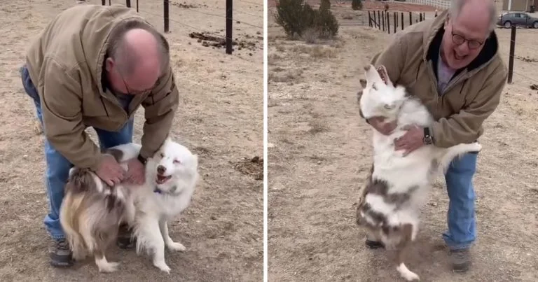 Perrita ciega sorda reconoce abuelo