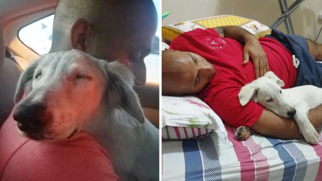 Perro queda dormido hombro rescatista