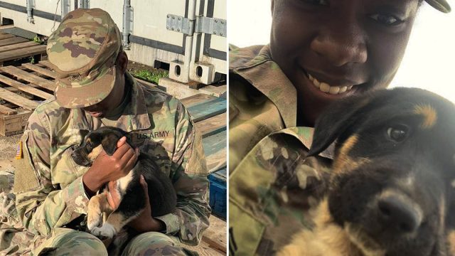 Sargento del ejército se reúne con cachorra