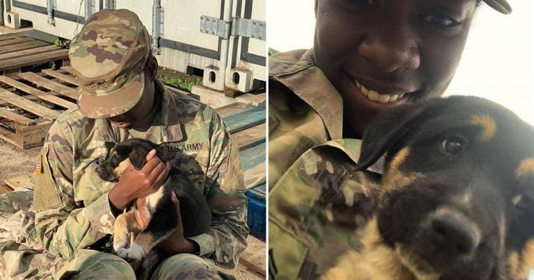 Sargento del ejército se reúne con cachorra
