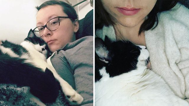 Mujer revela gato salvó vida detectar cancer