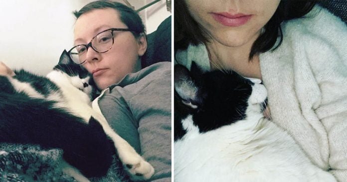 Mujer revela gato salvó vida detectar cancer