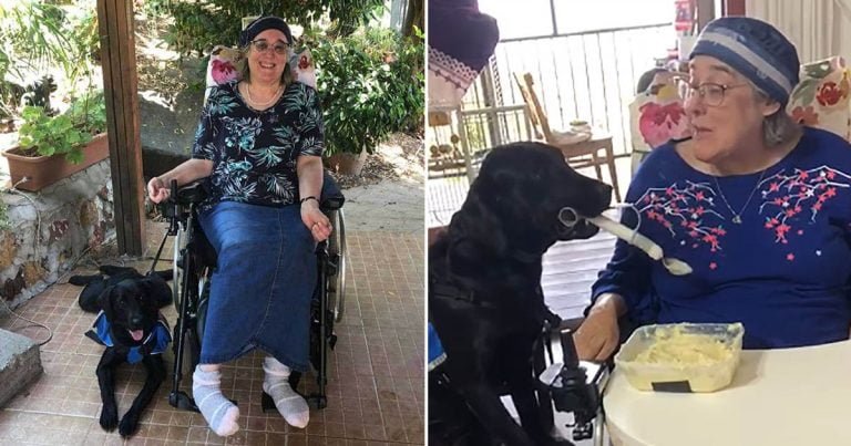 Perrita de servicio ayuda a su mejor amiga