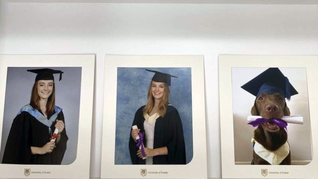 Perro obtiene propias fotos graduacion