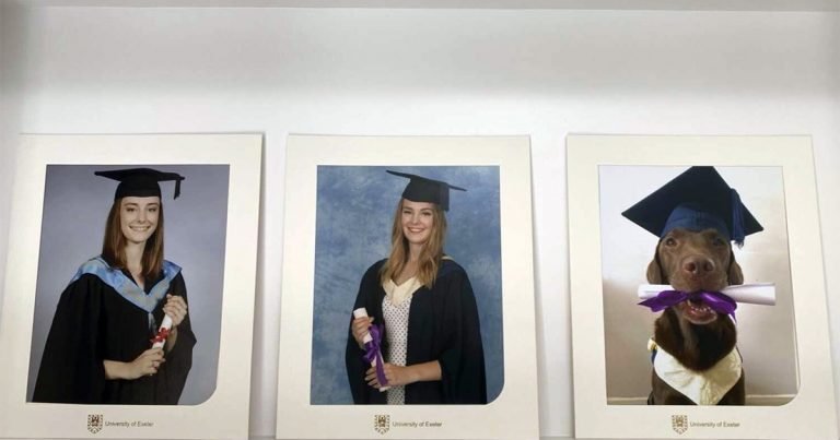Perro obtiene propias fotos graduacion