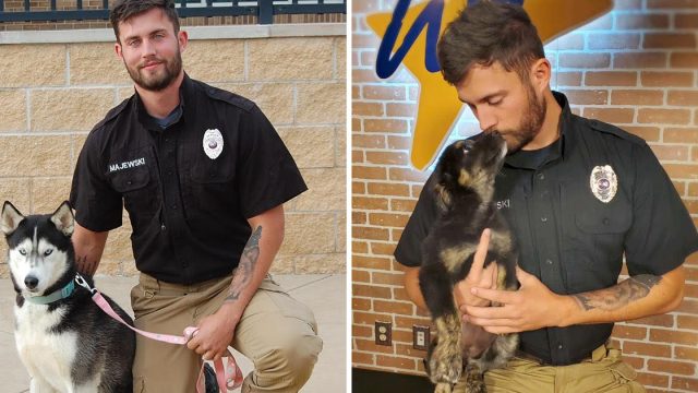 Trabajador apuesto refugio recibe más atención perros
