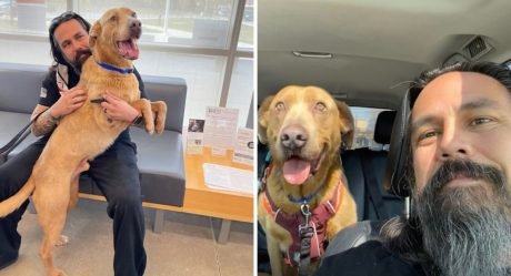 Hombre nunca se dio por vencido con su perro perdido y se reúne con él casi 5 años después