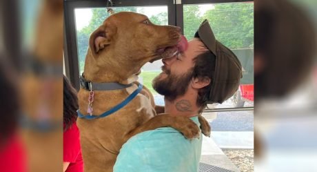 Perrita robada exige inmediatamente un abrazo cuando se reúne con su papá