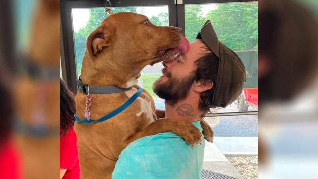 Perro robado exige inmediatamente un abrazo cuando se reúne con su papá