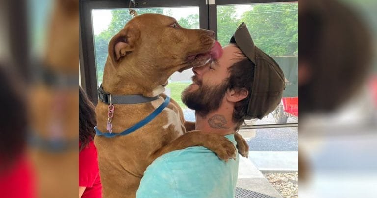 Perro robado exige inmediatamente un abrazo cuando se reúne con su papá