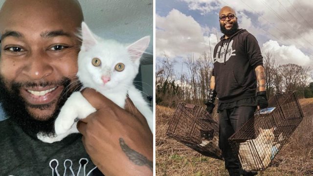 Rapero abandona música rescatar gatos
