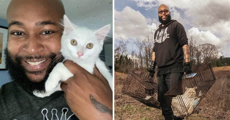 Rapero abandona música rescatar gatos