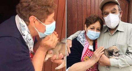 Su abuela le dijo que era ‘demasiado mayor’ para adoptar un perro y recibió la sorpresa más dulce