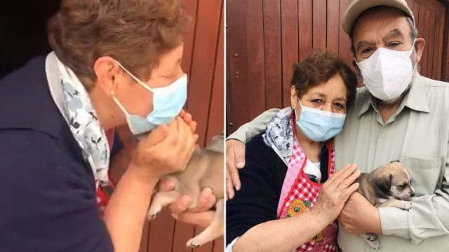 Su abuela dijo que era mayor para adoptar