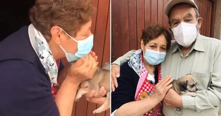 Su abuela dijo que era mayor para adoptar