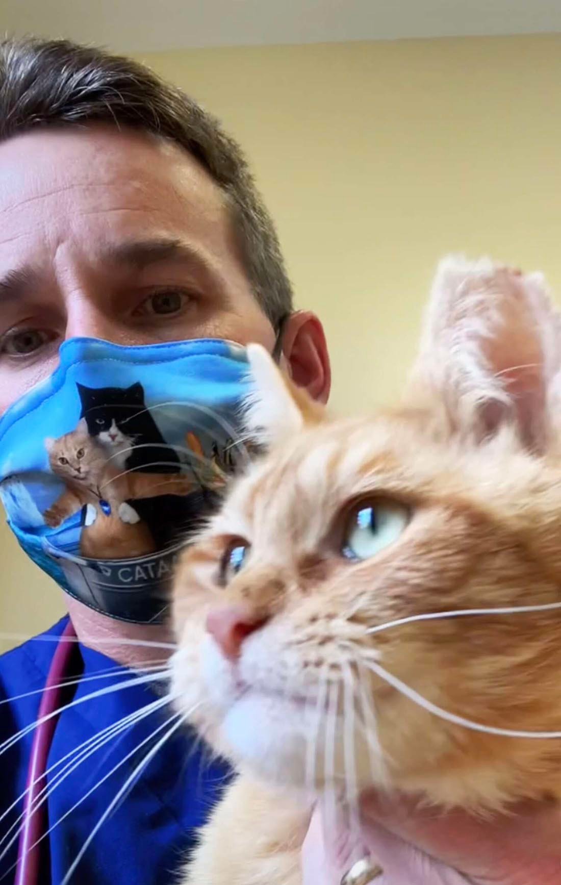 Veterinario salvó a este gatito