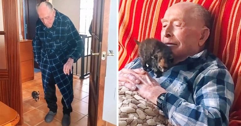 Abuelo de 100 años forma la amistad más dulce con un pequeño gatito