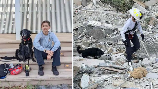 Bombera y su perro caminan entre los restos de un condominio colapsado en busca de sobrevivientes