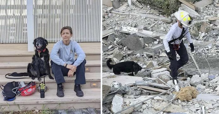 Bombera y su perro caminan entre los restos de un condominio colapsado en busca de sobrevivientes