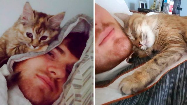 Hombre le da un hogar a un gatito y ahora despierta con sus abrazos todos los días