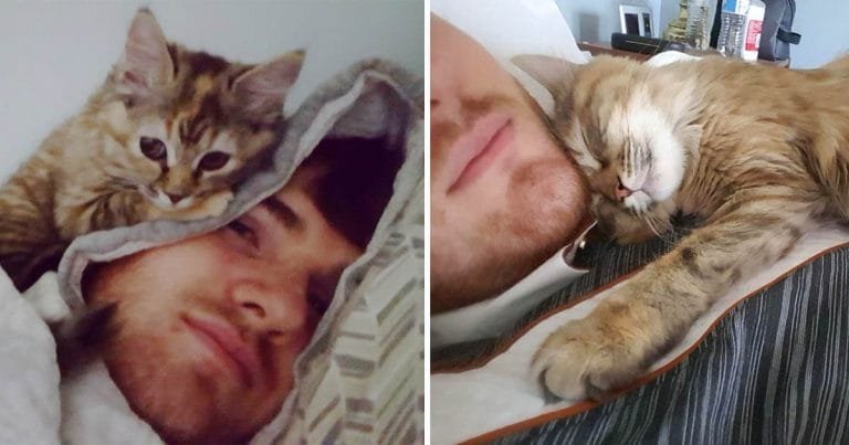 Hombre le da un hogar a un gatito y ahora despierta con sus abrazos todos los días