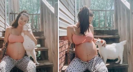 Mujer conoce a una madre gata sin hogar y se convierten en amigas de embarazo