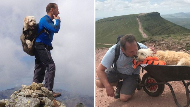 Hombre lleva perro último paseo montaña