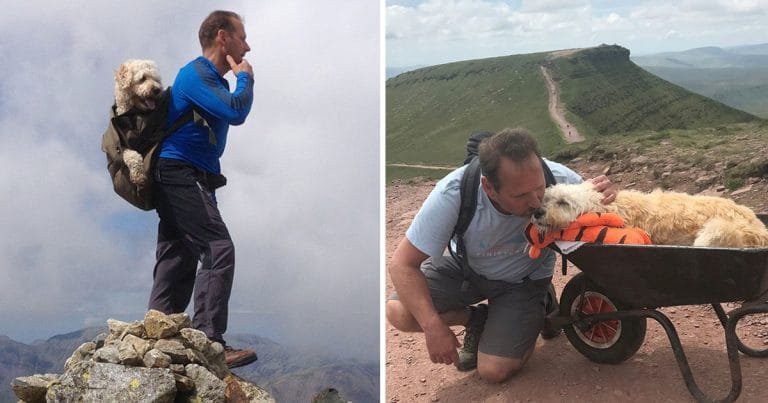Hombre lleva perro último paseo montaña