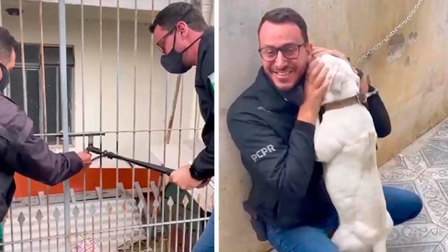 Perrita encadenada no deja de besar al hombre que vino a liberarla