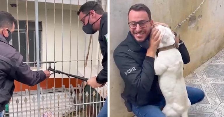 Perrita encadenada no deja de besar al hombre que vino a liberarla