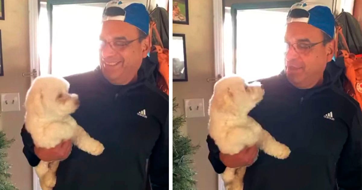 El esposo va a la peluquería y vuelve a casa con el perro equivocado