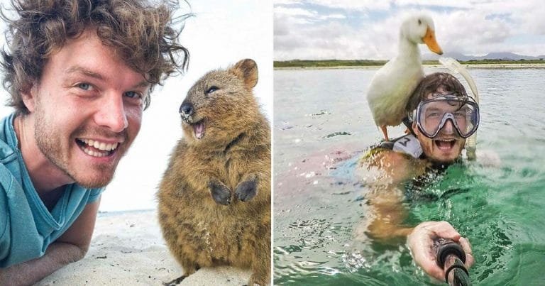 Este chico parece hacerse amigo
