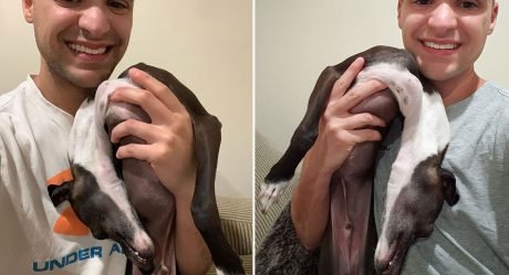 Galgo se ‘derrite’ cada vez que su papá intenta tomarse una foto con él