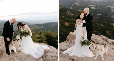 Los perros más lindos aparecen mágicamente en la boda de una pareja en la cima de la montaña