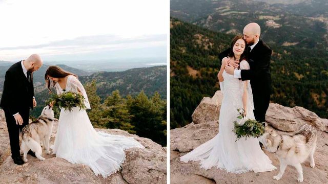 Los perros más lindos se unieron de manera sorpresiva a la celebración de boda de una pareja en la cima de una montaña