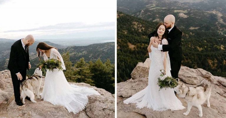 Los perros más lindos se unieron de manera sorpresiva a la celebración de boda de una pareja en la cima de una montaña
