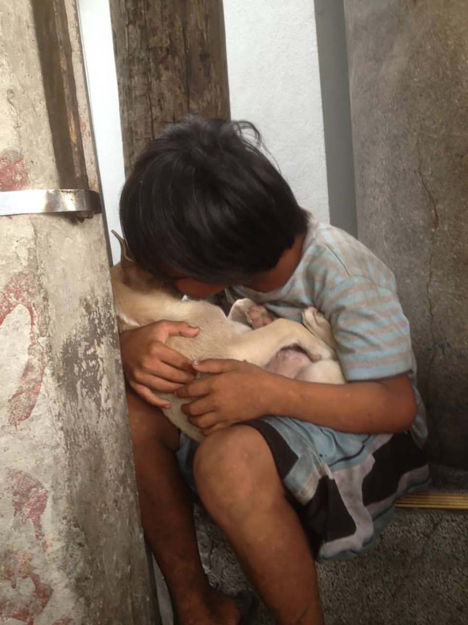 Niño abandonado encuentra consuelo en un perro