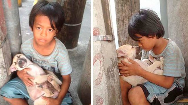 Niño abandonado encuentra consuelo y amistad en un perro que lo protege
