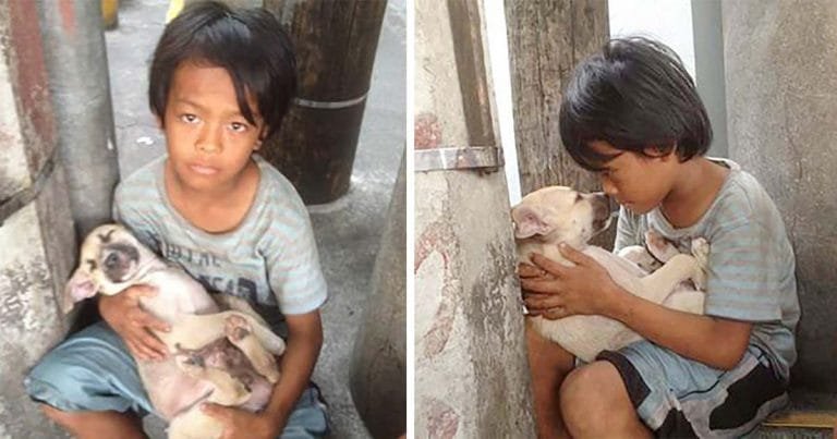 Niño abandonado encuentra consuelo y amistad en un perro que lo protege