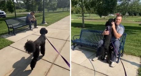 Perrita estaba paseando y ve un hombre en un banco, de repente se da cuenta de que lo conoce