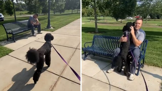 Perrita estaba paseando parque conoce hombre banco