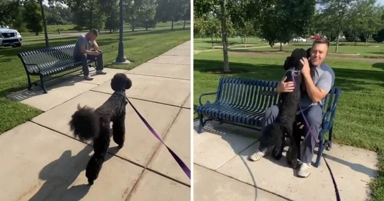 Perrita estaba paseando parque conoce hombre banco