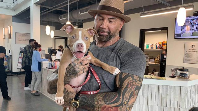 Dave Bautista adopta perrita encontrada atada
