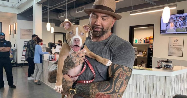Dave Bautista adopta perrita encontrada atada