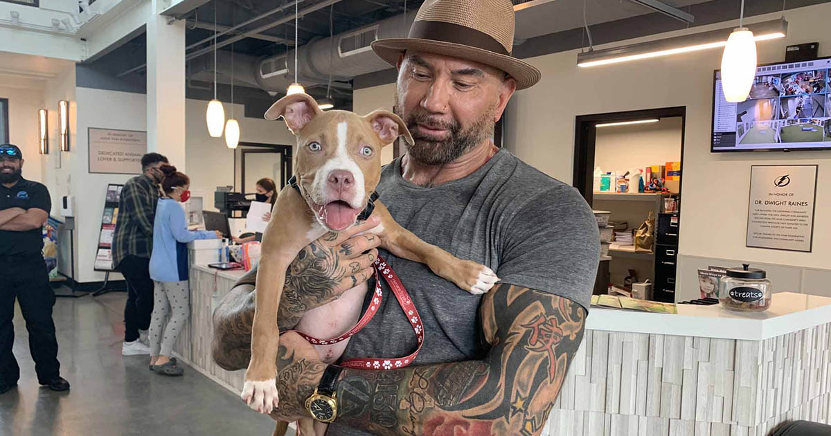 Dave Bautista adopta perrita encontrada atada
